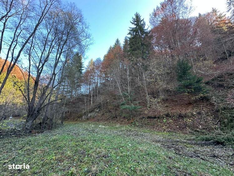 Teren de 2882 mp, în Dâmbovicioara