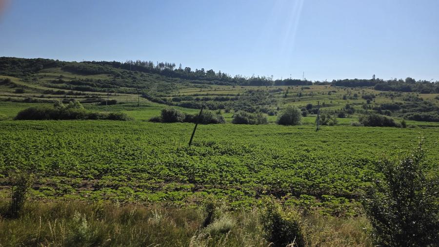Teren de 2100 mp, în Vâlcele
