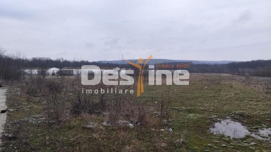 Teren de 7500 mp, în Central
