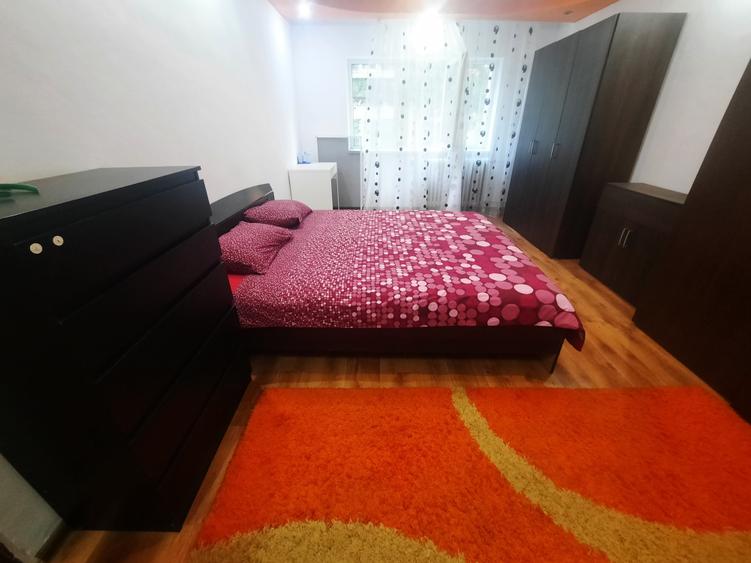 VANZARE 2 CAM SOSEAUA SALAJ VEL PITAR - 3
