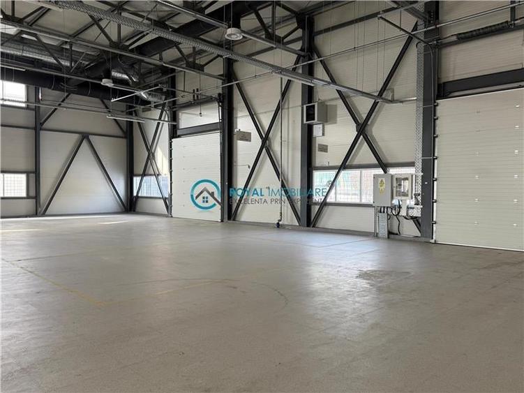 Royal Imobiliare-  Spatiu Industrial Zona Exterior Vest - 6