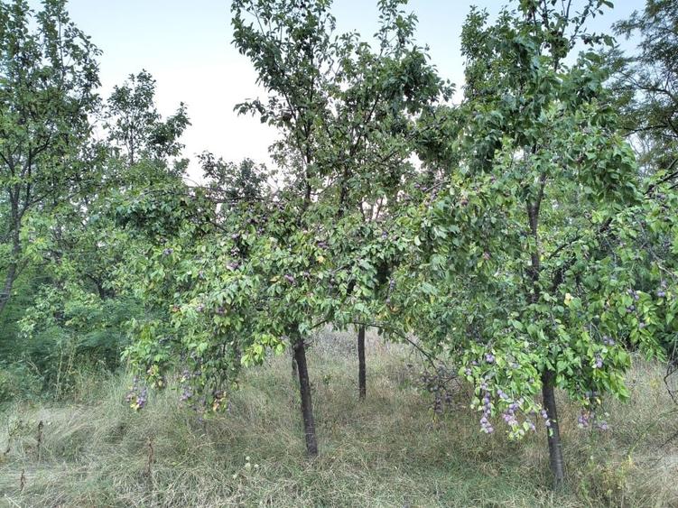 Teren Construcții intravilan de 2160 mp, în Șpring