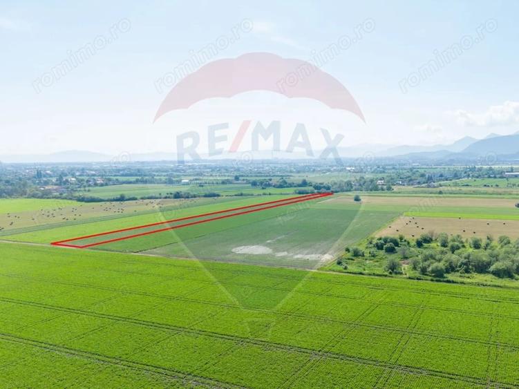 Teren de 11500 mp, în IAR