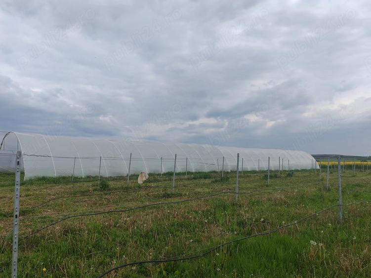 Teren de 9700 mp, în Galda de Jos