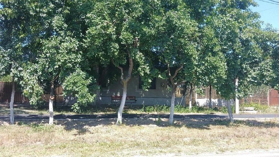 Casă cu 3 camere cu Teren 1576 Mp în Central