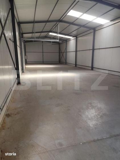 Spatiu comercial de inchiriat/ hala ,400 mp, zona Vetis - 3