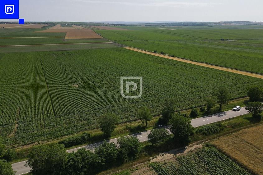 Teren agricol extravilan de 10000 mp, în Orășeni-Deal