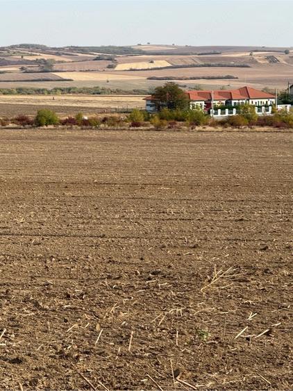 Teren de 20000 mp, în Paleu