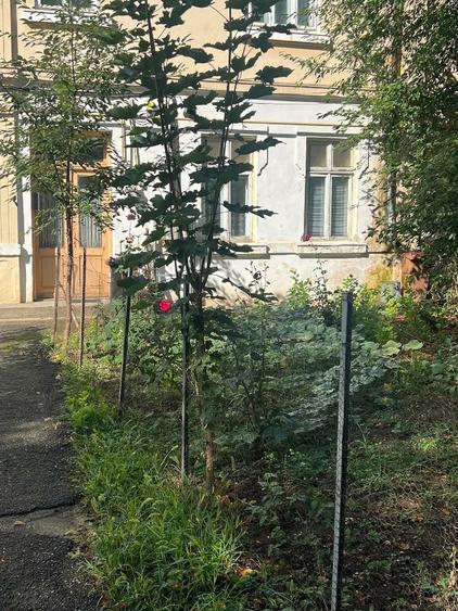 Casă cu 3 camere cu Teren 51 Mp în Exterior Vest