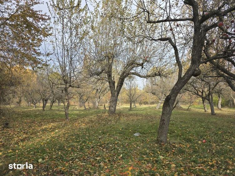 Casă cu 7 camere cu Teren 3800 Mp în Central