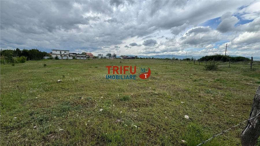 Teren Construcții intravilan de 5500 mp, în Sebeș