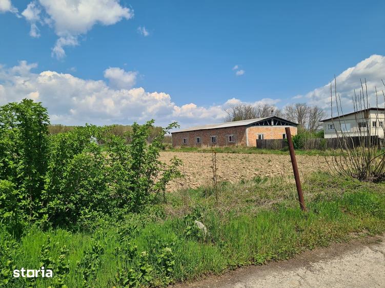 Teren de 5656 mp, în Mihăești