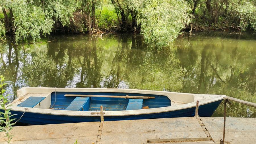 Casă individuală cu 12 camere cu Piscina în Uzlina