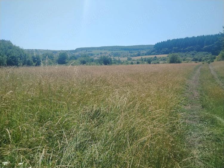 Teren de 2900 mp, în Corușu