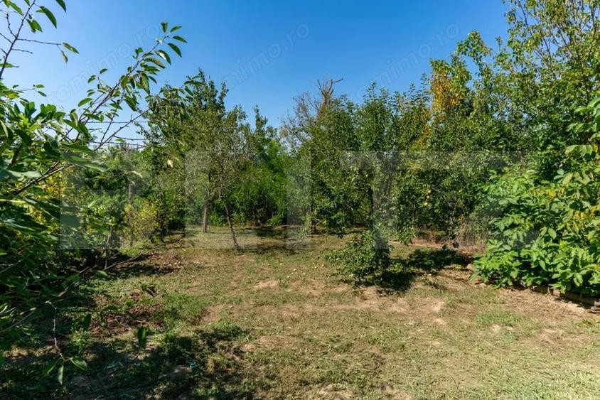 Casă cu Teren 4000 Mp în Rovina (Brănișca)