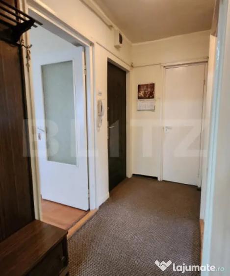 Apartament cu 3 camere, 45 mp, zona Dambu - 4