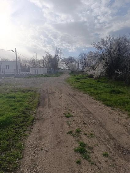 Teren de 300 mp, în Central