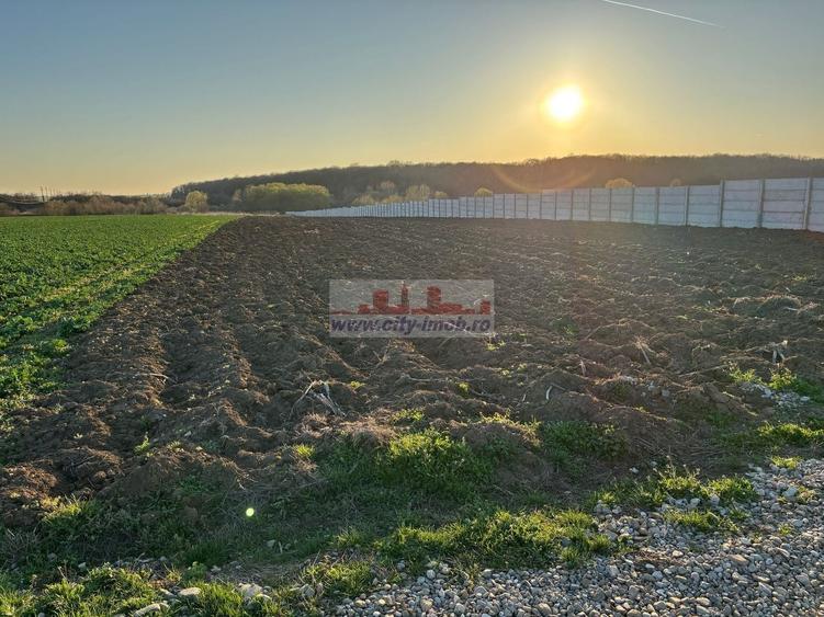 Teren Construcții intravilan de 3784 mp, în Izvorani