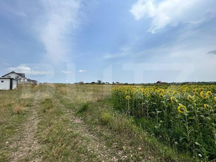 Teren de 3080 mp, în Moara