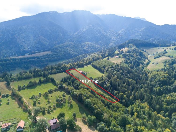 Teren Construcții extravilan de 10131 mp, în Bran