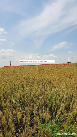 Teren de 5900 mp, în Curcani