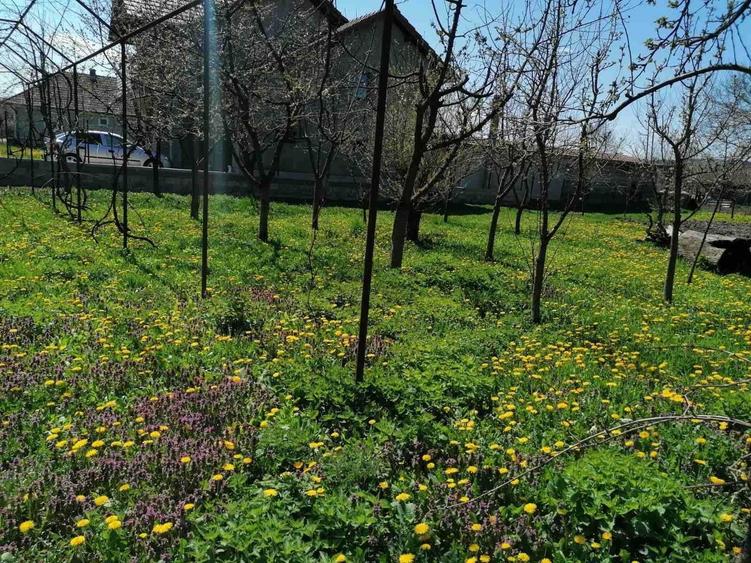 Casă cu 2 camere în Românași