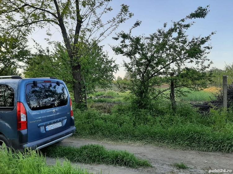 Teren de 4000 mp, în Măgureni