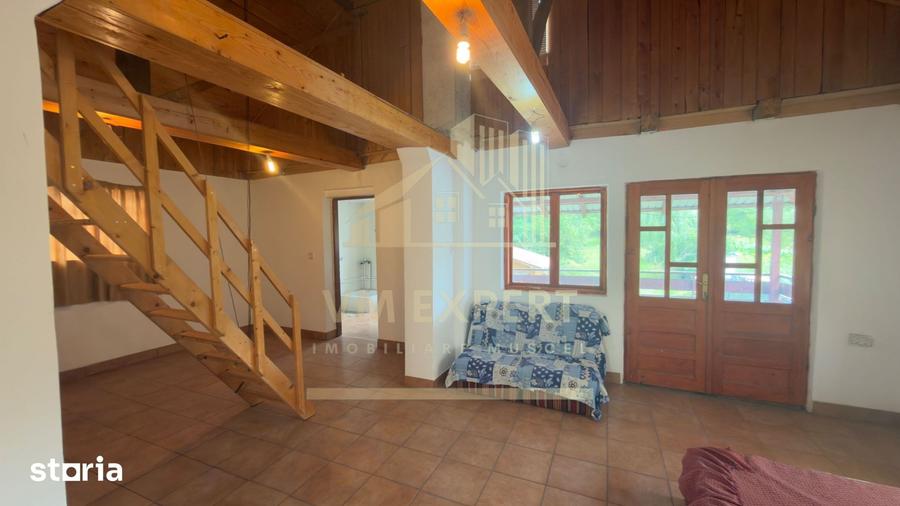 CASA 5 CAMERE TEREN 1138 MP BALILE?TI ARGES - 4
