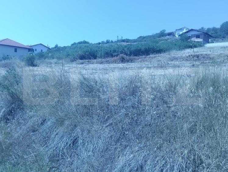 Teren Construcții intravilan de 1000 mp, în Cetate