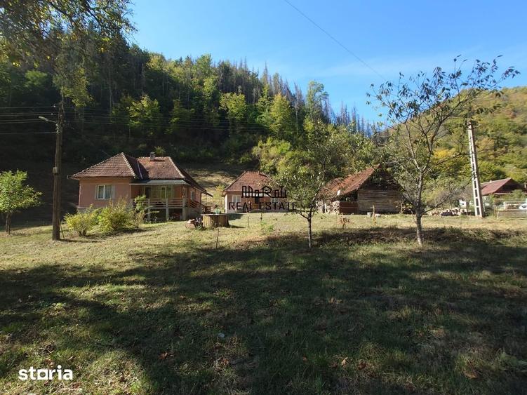 Casă cu 4 camere decomandat cu Teren 7650 Mp în Buceș