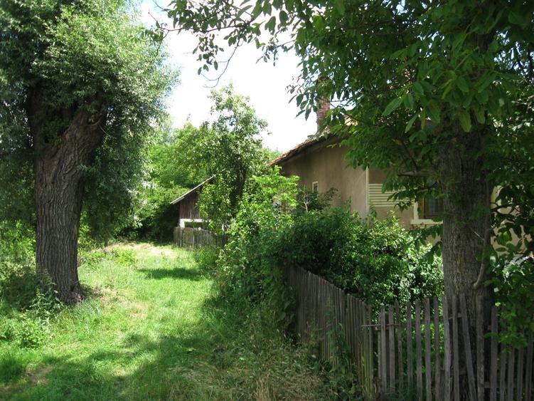 Casă individuală cu 3 camere cu Teren 6731 Mp în Țițești