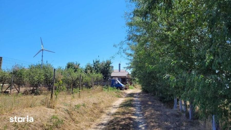 Teren de 6000 mp, în Mihail Kogălniceanu