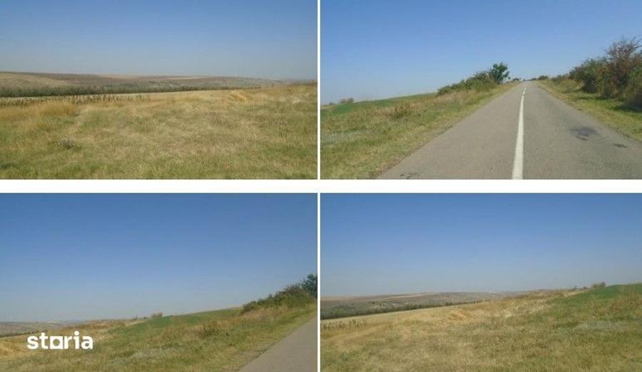Teren de 6000 mp, în Vârlezi
