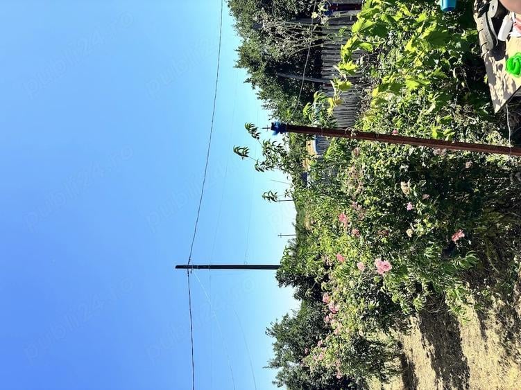Casă cu Teren 1500 Mp în Ciochina
