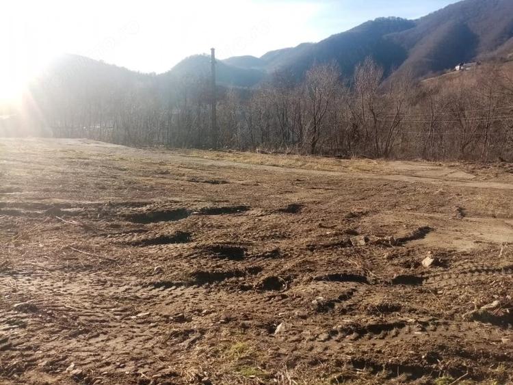 Teren de 7432 mp, în Săsciori