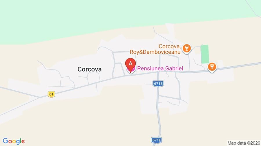 Teren agricol extravilan de 10000 mp, în Corcova