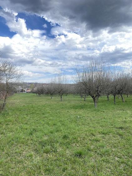 Teren de 7000 mp, în Berevoești