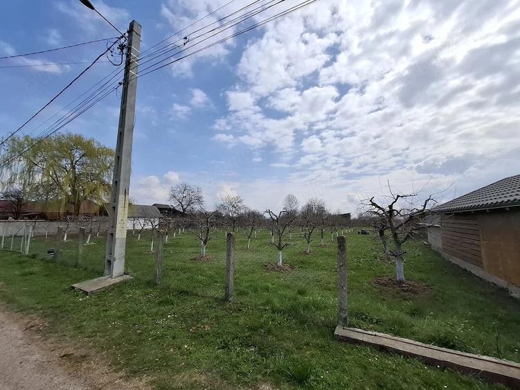 Teren de 2000 mp, în Răucești