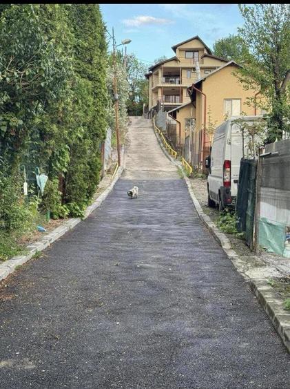 Teren de vanzare in Campina ( Str.Alea Sulfinei nr .3 , prima strada la stanga dupa spital TBC ) .Te - 2