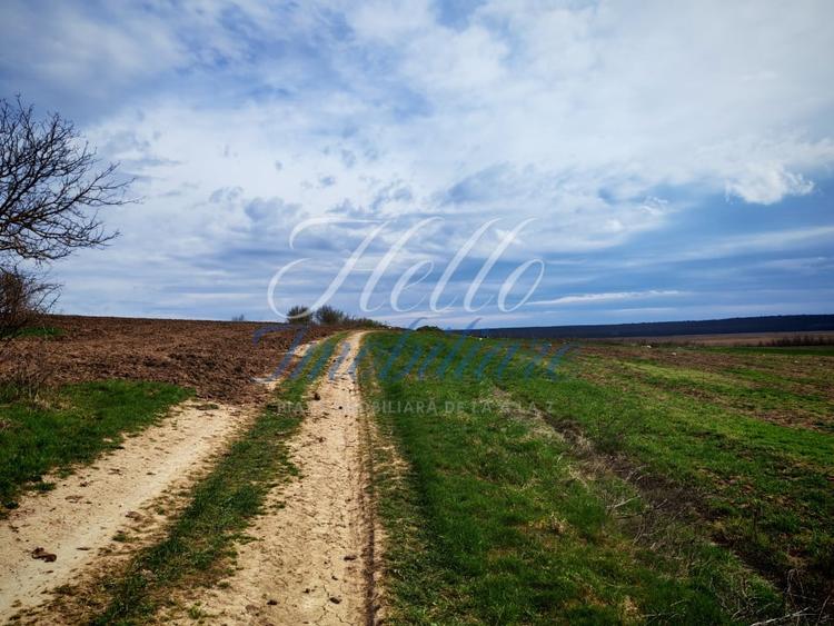 Teren agricol intravilan de 3700 mp, în Vest