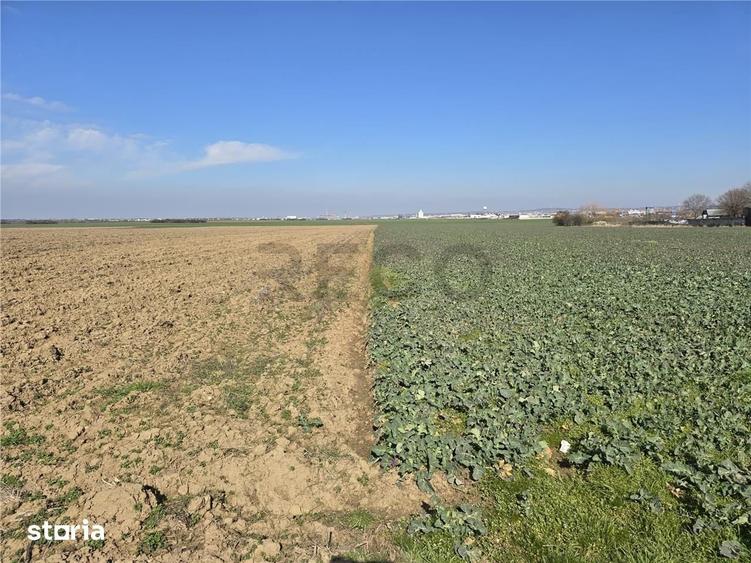 Teren de 22418 mp, în Calea Aradului