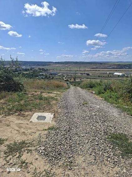 teren Uricani Iasi spate Dedeman 652 mp Urgent! - 4