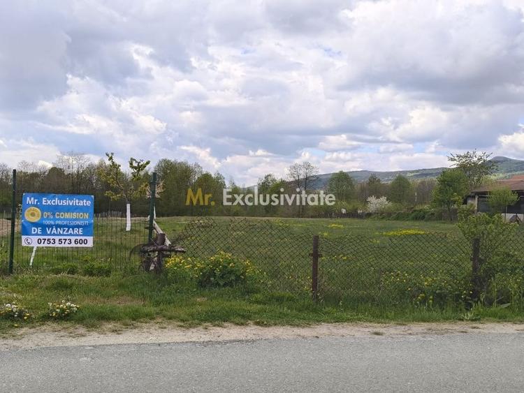 Teren Construcții intravilan de 19209 mp, în Crasna