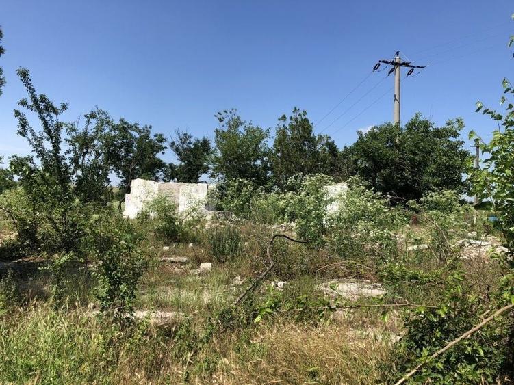 Teren agricol intravilan de 9795 mp, în Rădoiești
