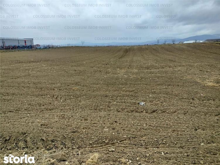 Teren de 5500 mp, în Central