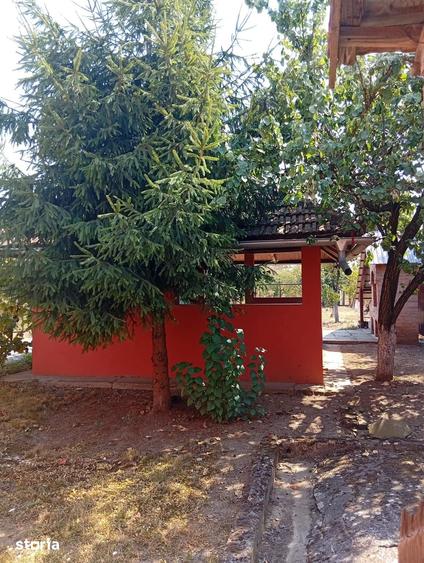 Casă cu 4 camere cu Teren 1200 Mp în Fortuna