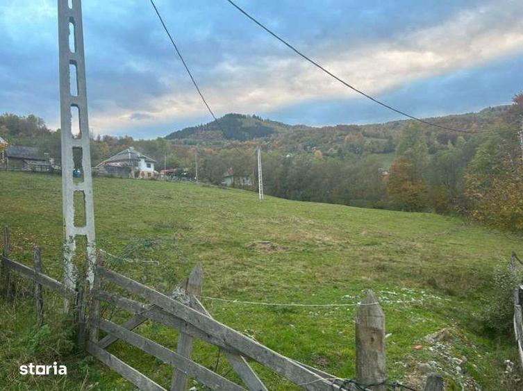 Teren de 5800 mp, în Lupșa
