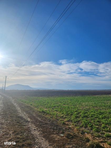 Teren de 510 mp, în Hălchiu