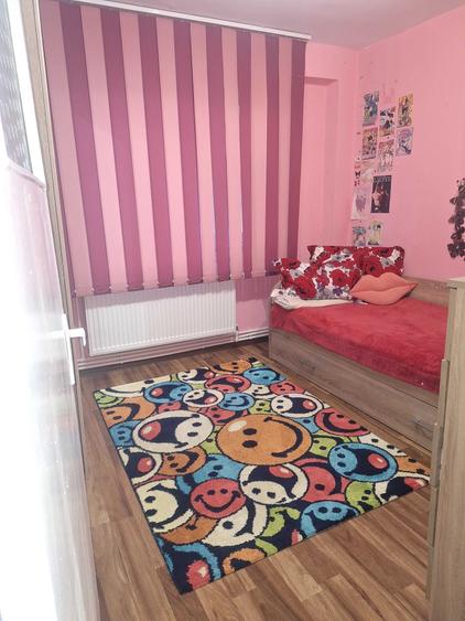 Apartament cu 2 camere semidecomandat în Viziru 3