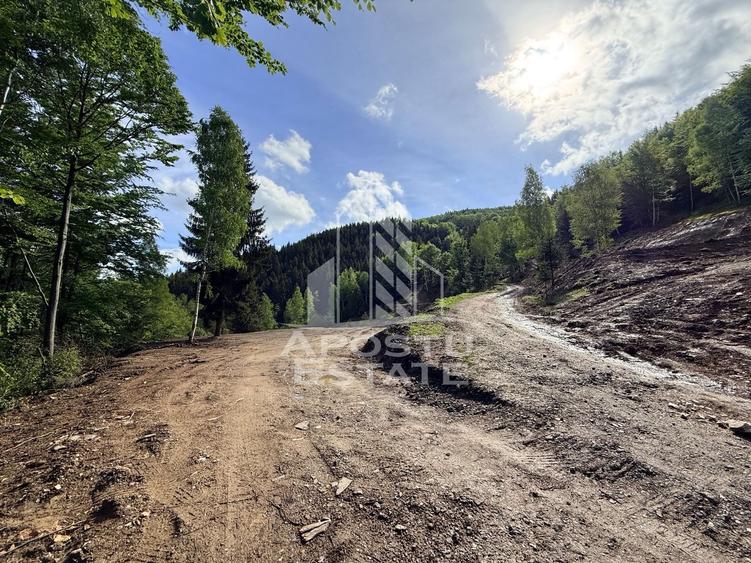 Teren Construcții extravilan de 18000 mp, în Exterior Sud